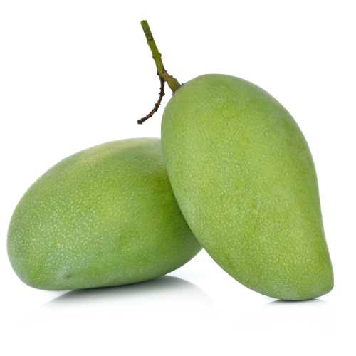 Pitunia seedlings in plastic flower pots from above