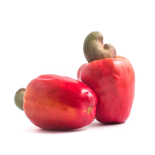Pitunia seedlings in plastic flower pots from above